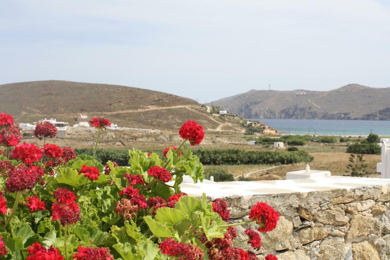 Anamar Mykonos Natural Retreat Ftelia  Luaran gambar