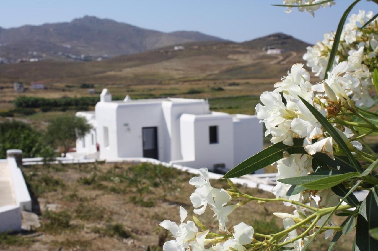 Anamar Mykonos Natural Retreat Ftelia  Luaran gambar